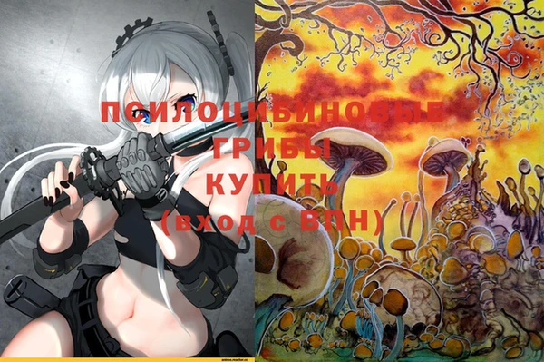 гидропоника Нея