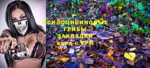 гидропоника Нея