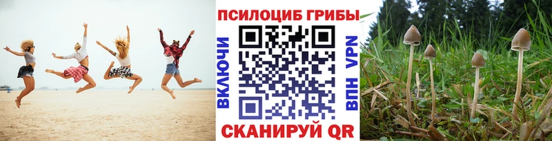 Купить где  Нолинск  Псилоцибиновые грибы ЛСД 